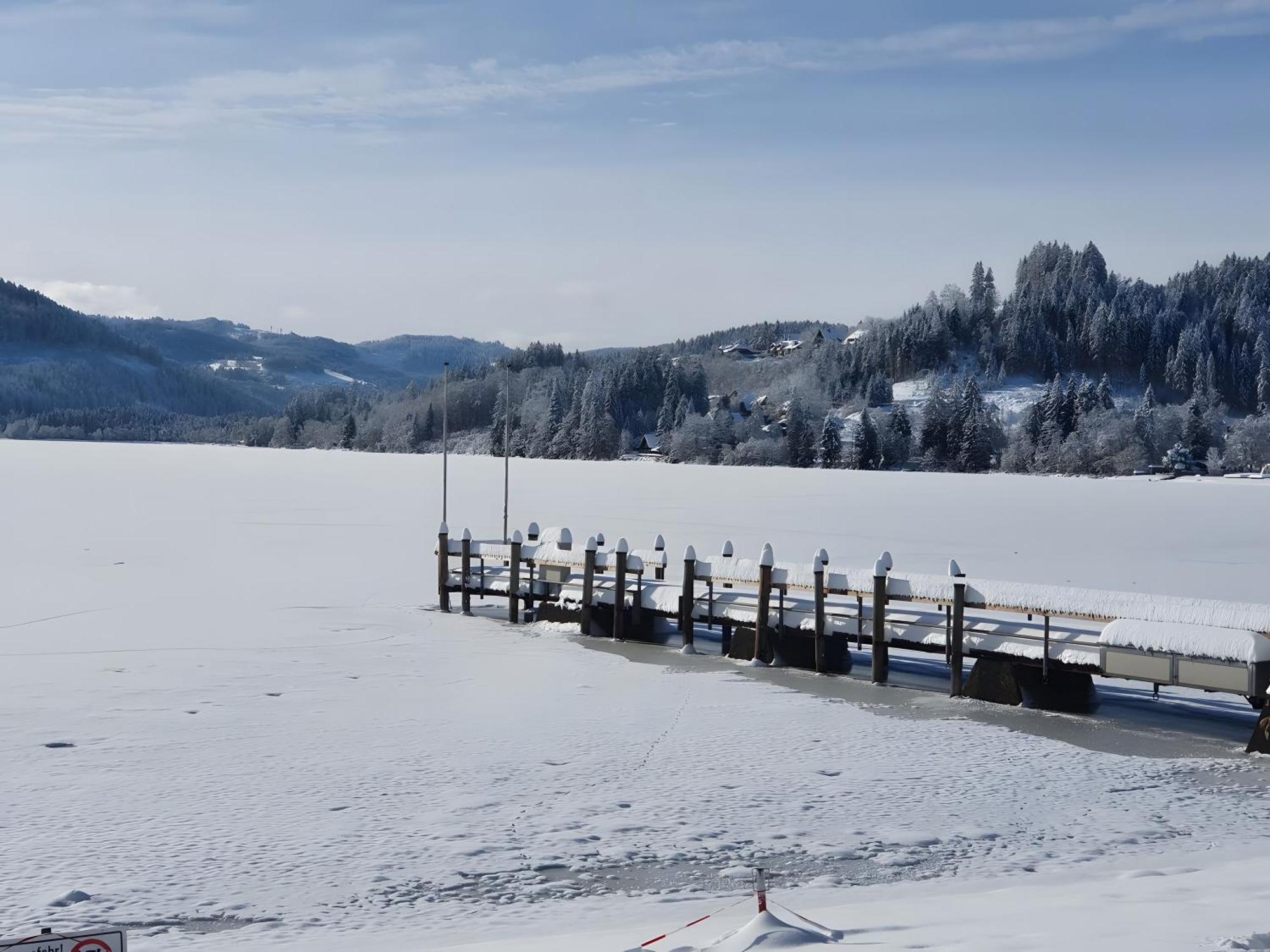 Haus Schwedes Apartment Titisee-Neustadt Luaran gambar