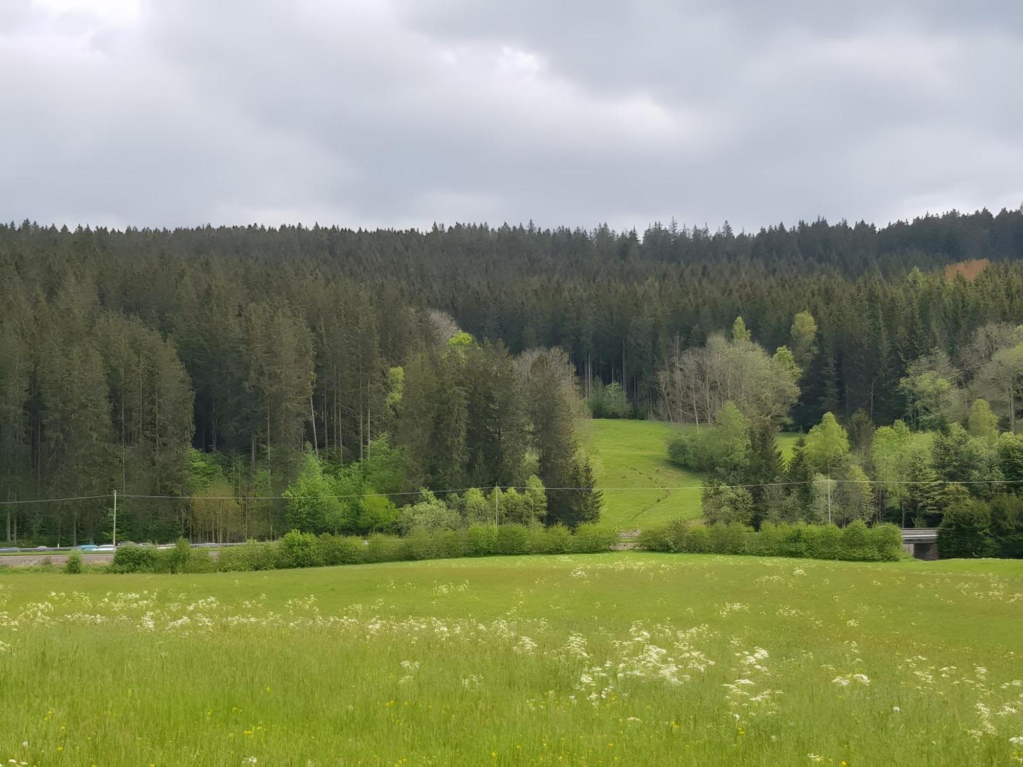 Haus Schwedes Apartment Titisee-Neustadt Luaran gambar